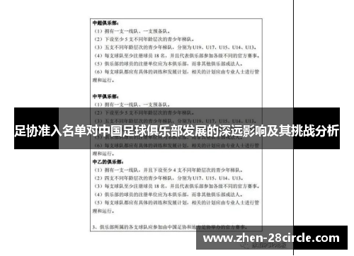 足协准入名单对中国足球俱乐部发展的深远影响及其挑战分析